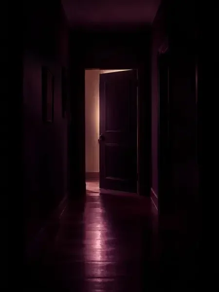 红果魔改 - 消失的房客 封面